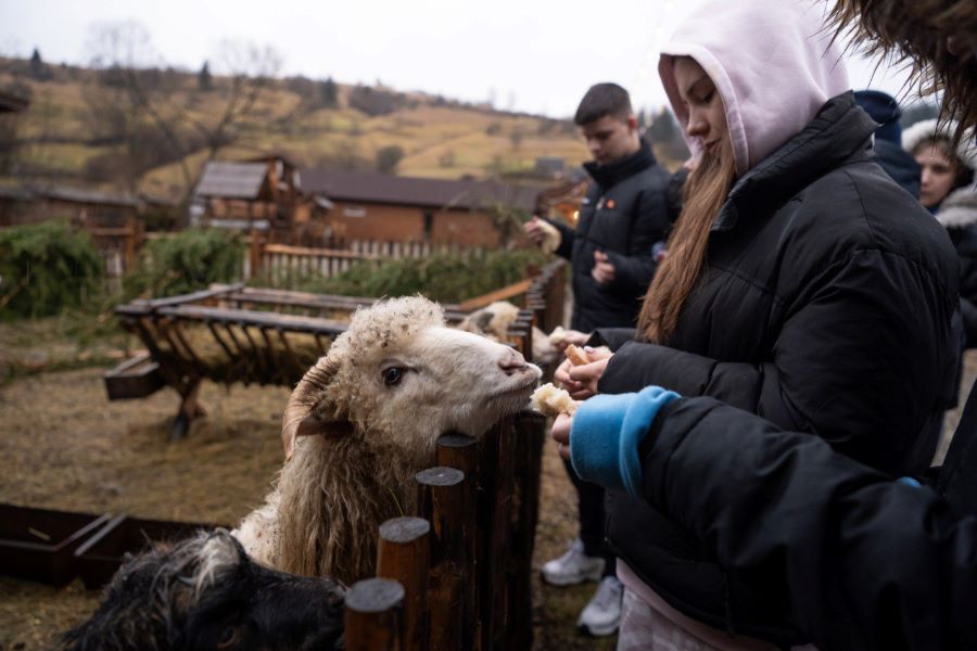Табір Синевир весняні канікули