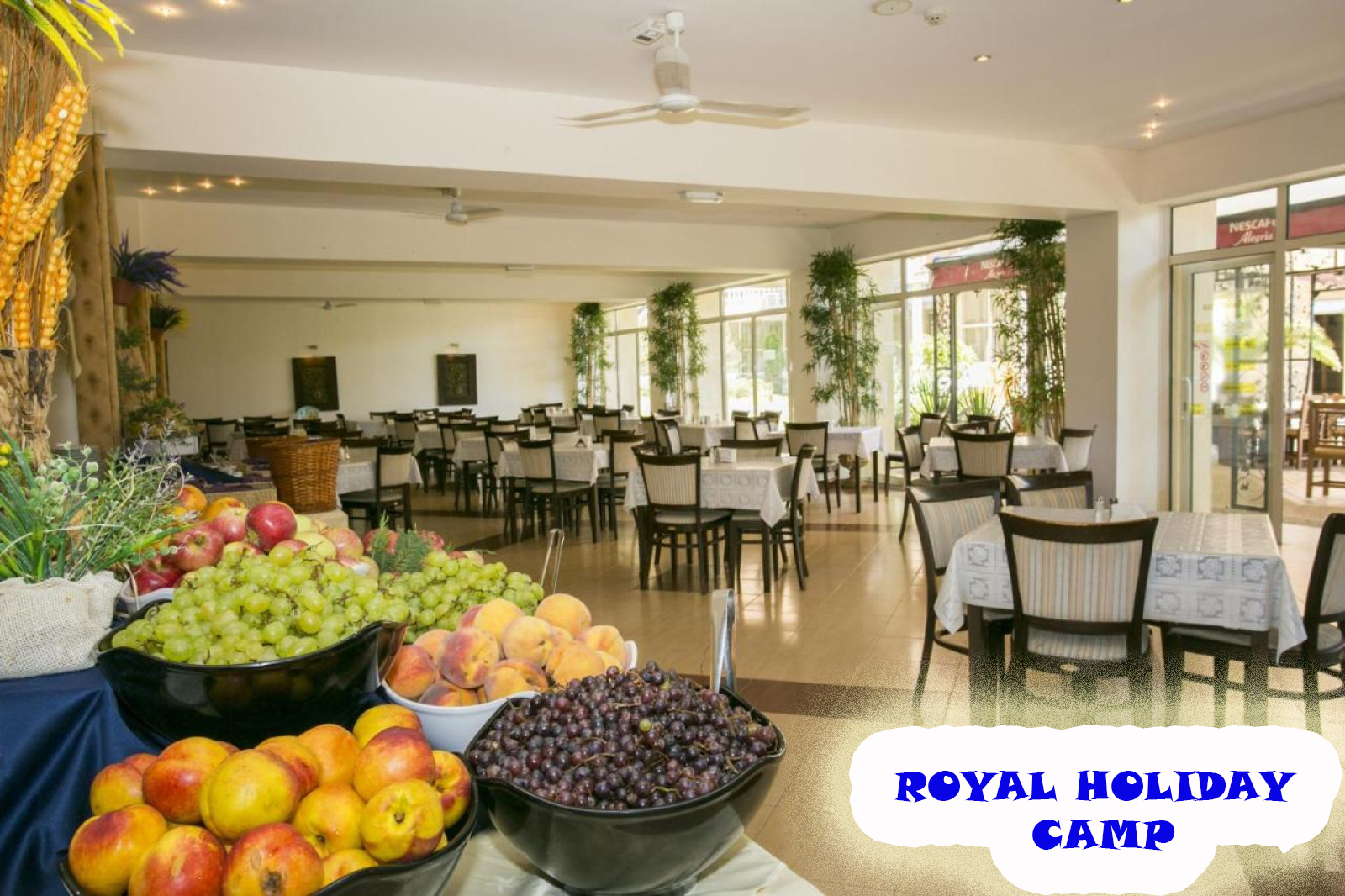 Royal Holiday Camp